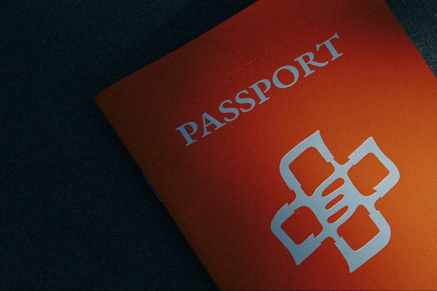 Not A Passport - Zine