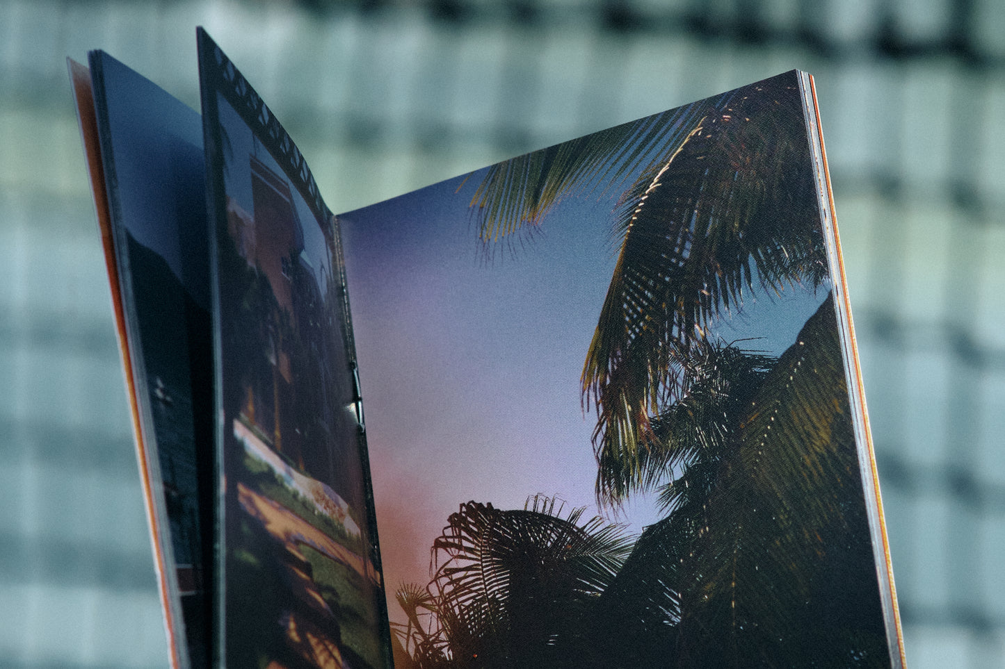 Not A Passport - Zine